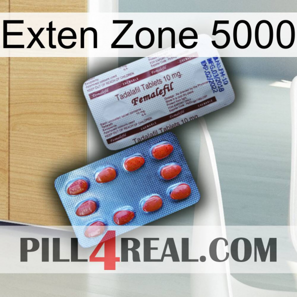 Exten Zone 5000 36.jpg